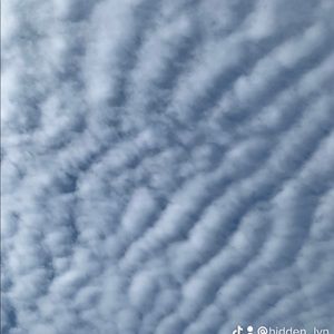 Meet your Posher, Caitlyn